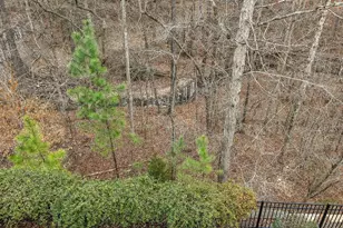 6212 Pesta Ct, Raleigh, NC 27612 - Photo 49