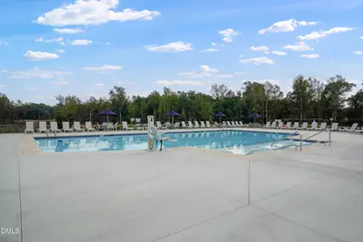 229 Black Sand Court, Wendell, NC 27591 - Photo 49