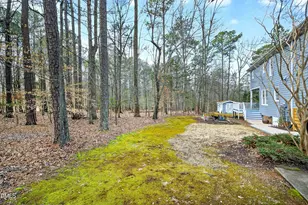 3805 Crooked Brook Trail, Apex, NC 27539 - Photo 55