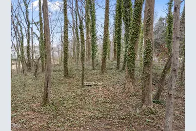 3508 Rigel Court, Raleigh, NC 27604 - Photo 33