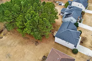 610 Toledo Ct, Rolesville, NC 27571 - Photo 47