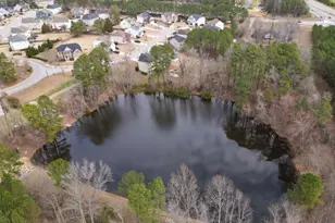 610 Toledo Ct, Rolesville, NC 27571 - Photo 53