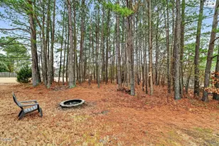 610 Toledo Ct, Rolesville, NC 27571 - Photo 47