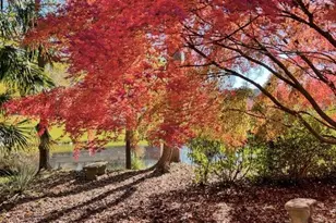 3104 Sandy Knoll Ln, Knightdale, NC 27545 - Photo 57