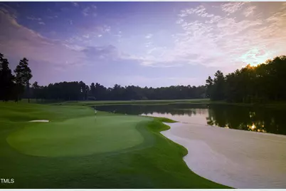 50002 Brogden, Chapel Hill, NC 27517 - Photo 25