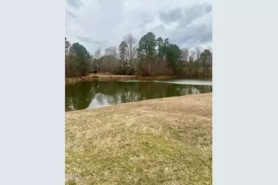 688 Willard Drive, Creedmoor, NC 27522 - Photo 35