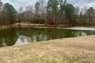 688 Willard Dr, Creedmoor, NC 27522 - Photo 35