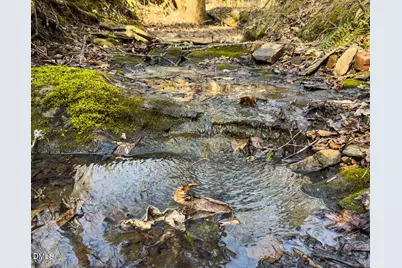 00 Scott Road, Semora, NC 27343 - Photo 17