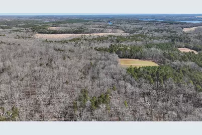 00 Scott Road, Semora, NC 27343 - Photo 39