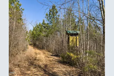 00 Scott Road, Semora, NC 27343 - Photo 41