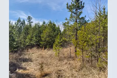 00 Scott Road, Semora, NC 27343 - Photo 59