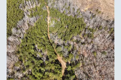 00 Scott Road, Semora, NC 27343 - Photo 33