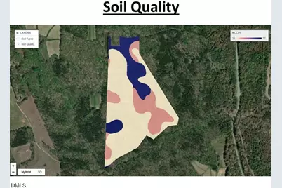 00 Scott Road, Semora, NC 27343 - Photo 35