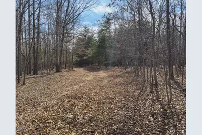 00 Scott Road, Semora, NC 27343 - Photo 57