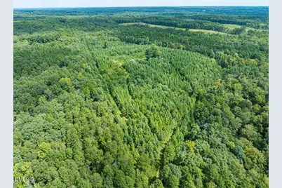 00 Scott Road, Semora, NC 27343 - Photo 23