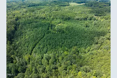 00 Scott Road, Semora, NC 27343 - Photo 7