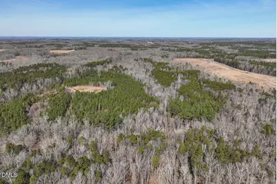 00 Scott Road, Semora, NC 27343 - Photo 9