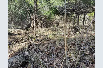 00 Scott Road, Semora, NC 27343 - Photo 67