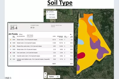 00 Scott Road, Semora, NC 27343 - Photo 29