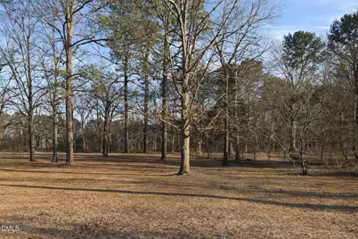Lot 4 Will Suitt Road, Creedmoor, NC 27522 - Photo 3