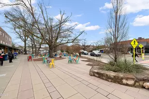 104 Red Sunset Pl, Carrboro, NC 27510 - Photo 69