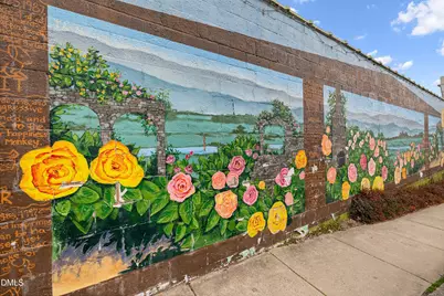 104 Red Sunset Place, Carrboro, NC 27510 - Photo 71