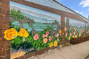 104 Red Sunset Pl, Carrboro, NC 27510 - Photo 71