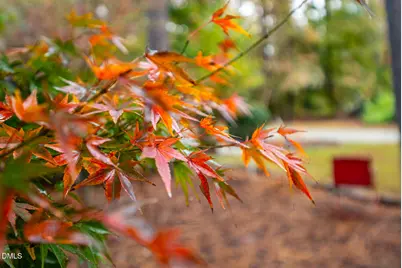 233 Bartlett Drive, Pittsboro, NC 27312 - Photo 67