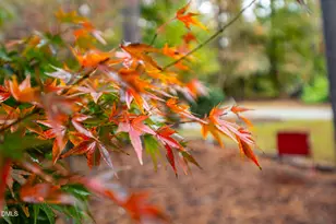 233 Bartlett Dr, Pittsboro, NC 27312 - Photo 67