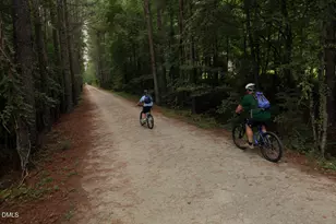 1713 Montvale Grant Wy, Cary, NC 27519 - Photo 35