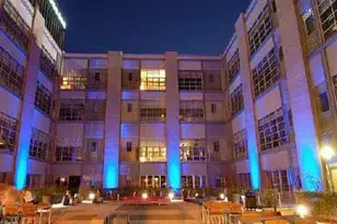 319 Fayetteville St, Raleigh, NC 27601 - Photo 29