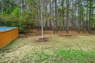 316 Rapport Dr, Cary, NC 27519 - Photo 59