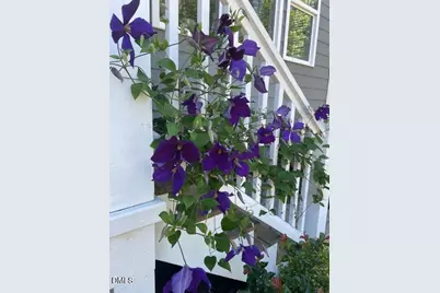 10009 Leesville Grove Drive, Raleigh, NC 27613 - Photo 65