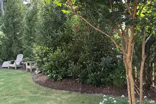 10009 Leesville Grove Dr, Raleigh, NC 27613 - Photo 63