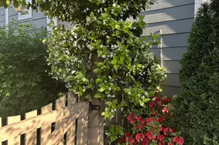 10009 Leesville Grove Dr, Raleigh, NC 27613 - Photo 61