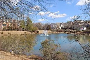 929 Shoofly Path, Apex, NC 27502 - Photo 49