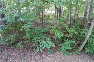 5128 Kemmont Dr, Durham, NC 27713 - Photo 51