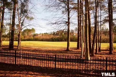 1513 Kudrow Lane, Morrisville, NC 27560 - Photo 29