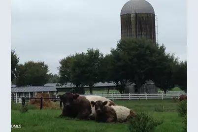 601 Stoneview, Pittsboro, NC 27312 - Photo 27