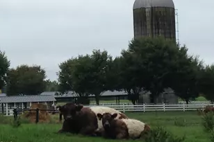 601 Stoneview, Pittsboro, NC 27312 - Photo 27