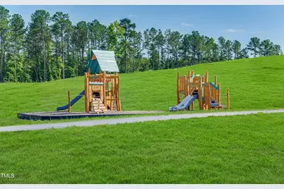 1701 Goldfinch Perch Lane, Knightdale, NC 27545 - Photo 61