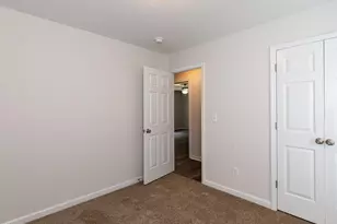 381 Gray Ghost St, Benson, NC 27504 - Photo 23