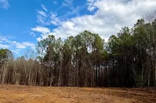 506 Bill Avery Rd, Coats, NC 27521 - Photo 19