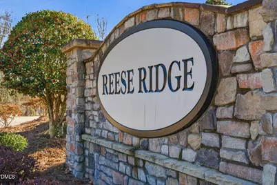 200 Reese Drive, Willow Springs, NC 27592 - Photo 59