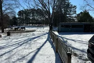 2621 Davistown Rd, Wendell, NC 27591 - Photo 9