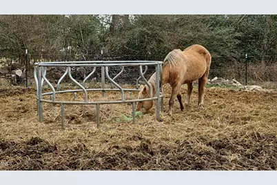 2621 Davistown Road, Wendell, NC 27591 - Photo 5