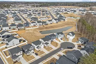 245 Windsor Ml Rd, Rolesville, NC 27571 - Photo 49