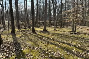 609 Shambley Rd, Mebane, NC 27302 - Photo 17