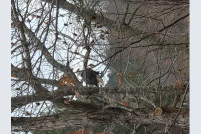 317 Charleston Drive, Clayton, NC 27527 - Photo 55