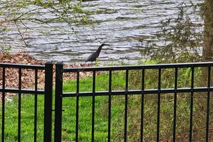 317 Charleston Dr, Clayton, NC 27527 - Photo 57